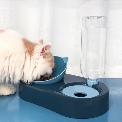 Two-in-One Pet Bowl Water Dispenser Automatic Water Bowl Pets Gym From House