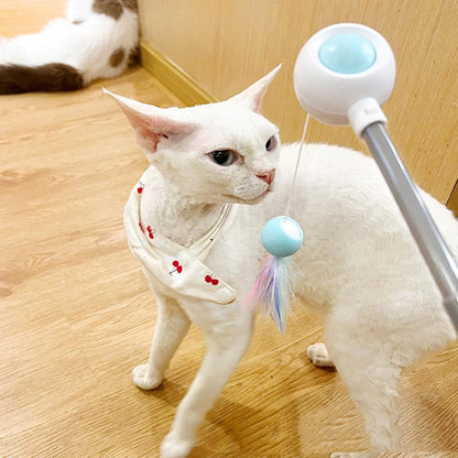 Household Fashion Personality Funny Cat Stick Self Hi Toy Pets dealsniper-net Blue Normal edition