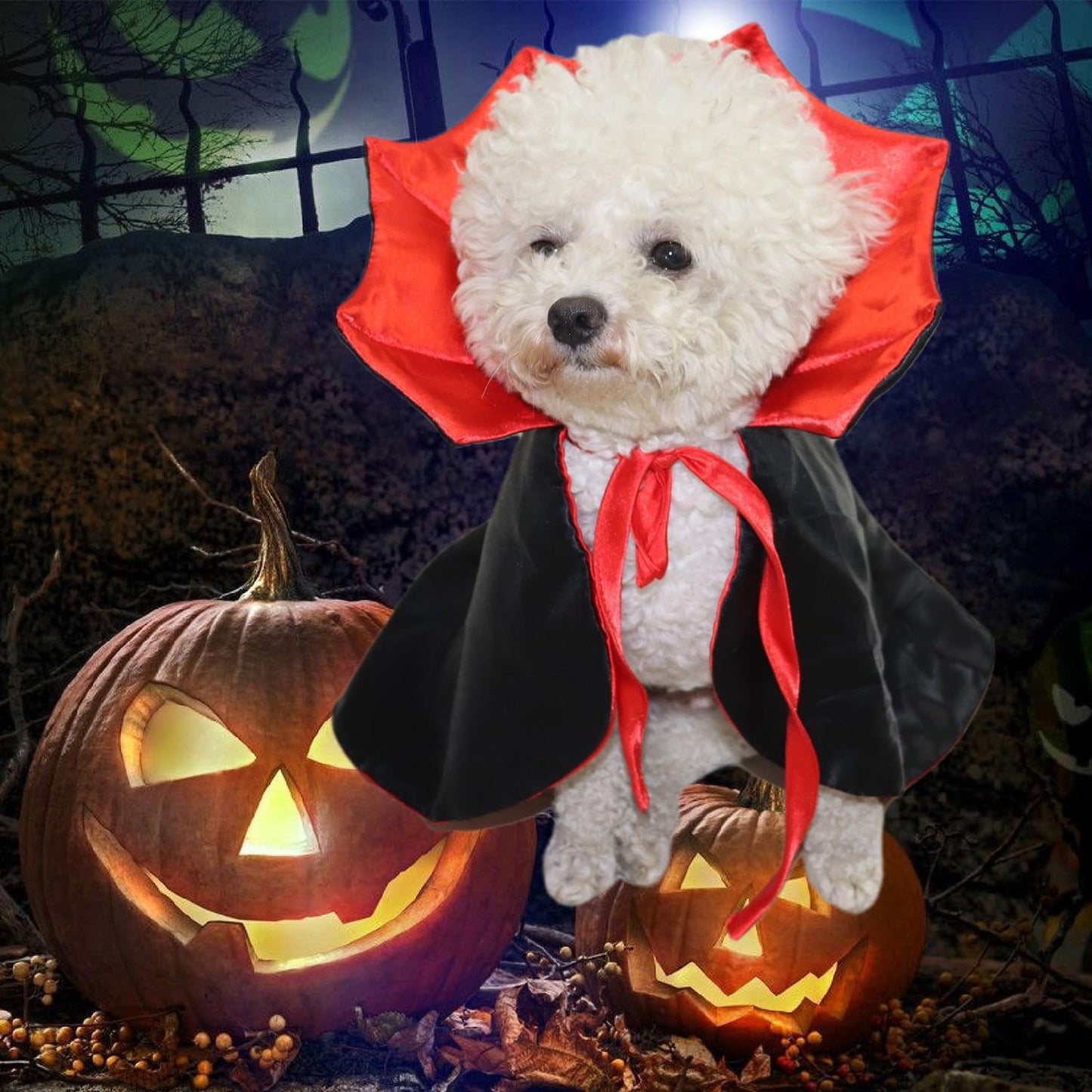 Cute Halloween Pet Costumes Cosplay Vampire Cloak Pets Gym From House