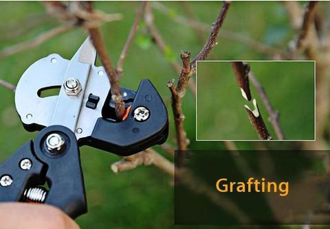 Garden Fruit Tree Pro Pruning Shears Scissor Grafting Cutting Tool Garden dealsniper-net