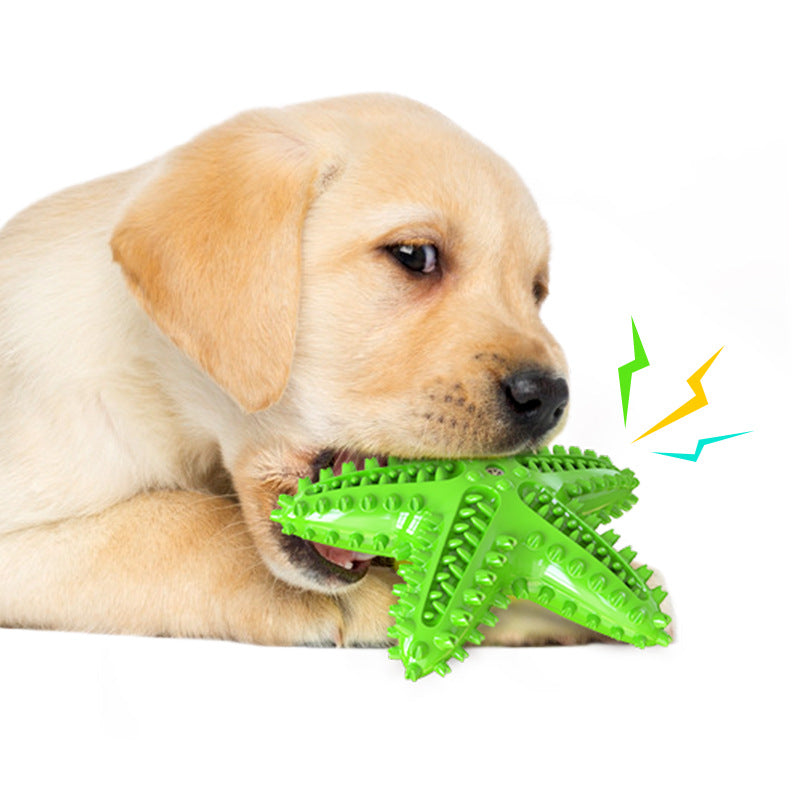 Starfish Vocal Pet Dog Toy Molar Stick Pets Gym From House Green