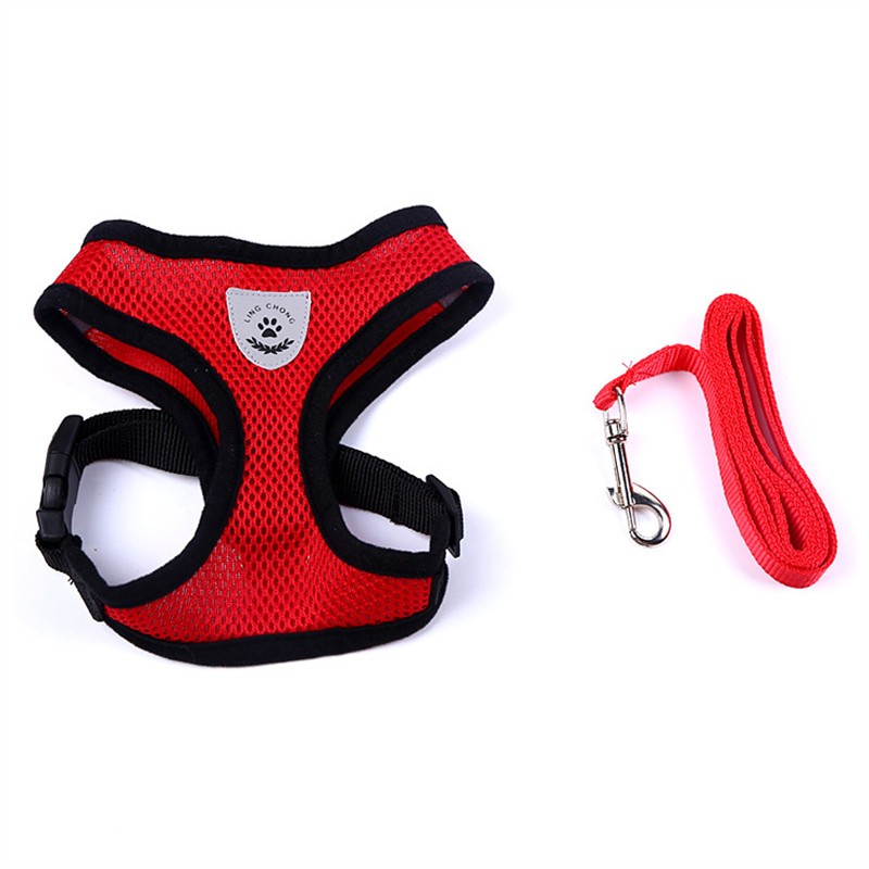 Pet Car Seat Belt Pet Leash Pets Gym From House