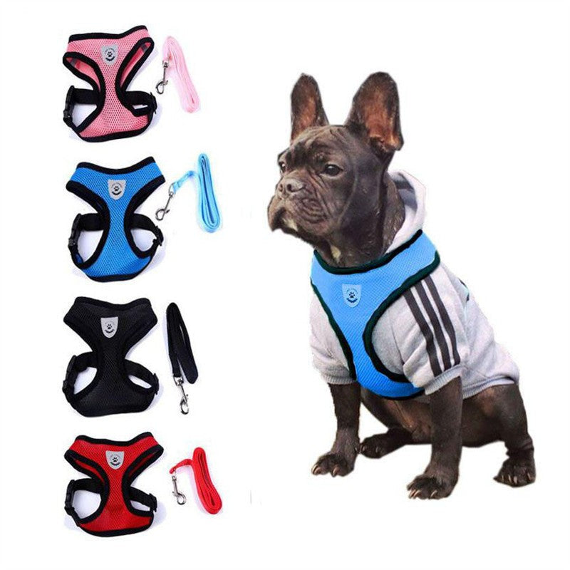 Pet Car Seat Belt Pet Leash Pets Gym From House