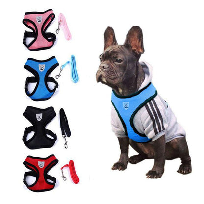 Pet Car Seat Belt Pet Leash Pets Gym From House