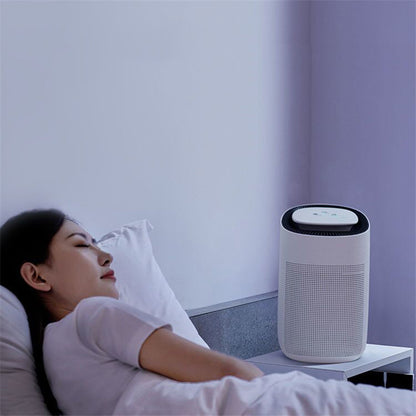 Home Fashion Small Air Purification Dehumidifier House dealsniper-net