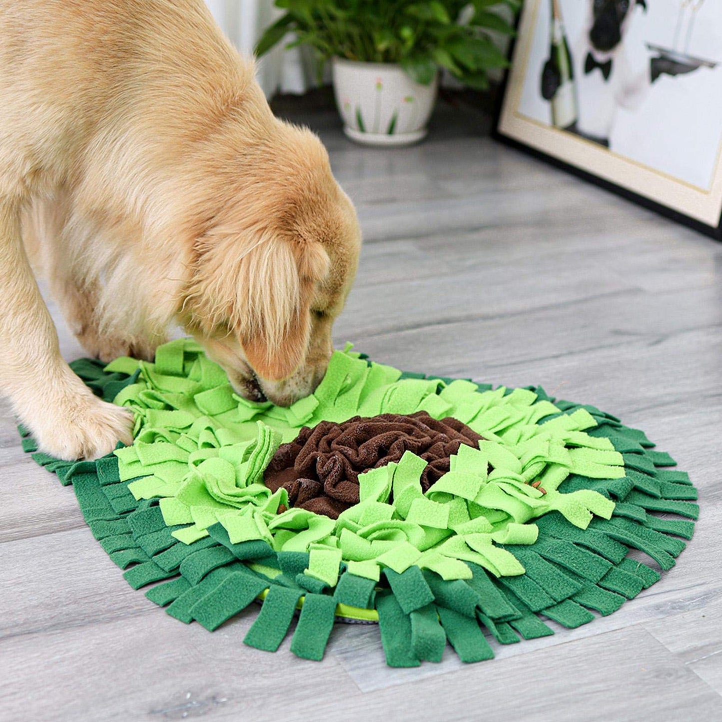 Dog Sniffing Mat Dog Puzzle Toy Pet Snack Feeding Mat Pets Gym From House