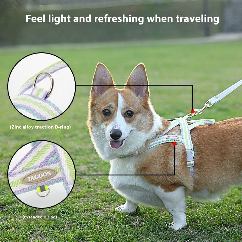 Dog Hand Holding Rope Portable Pet Harness Pets dealsniper-net