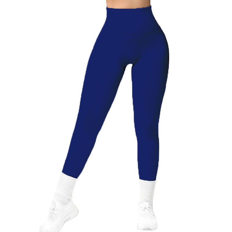 High Waist Seamless Leggings Threaded Knitted Fitness Pants Women dealsniper-net Dark Blue L