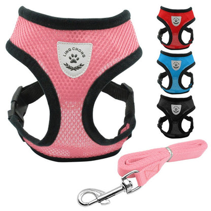 Pet Car Seat Belt Pet Leash Pets Gym From House