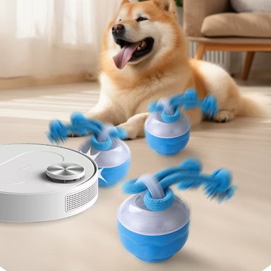 Pet Ball For Dogs Interactive Toys Motion Activate Rolling Ball Pets Gym From House