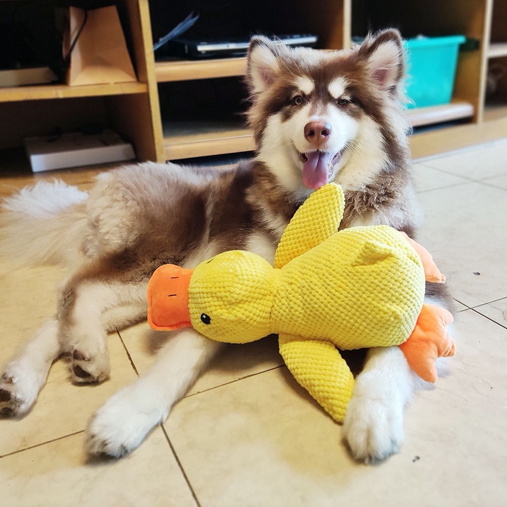 Dog Toy Plush Bite-resistant Pet Supplies Pets DealSniper.net