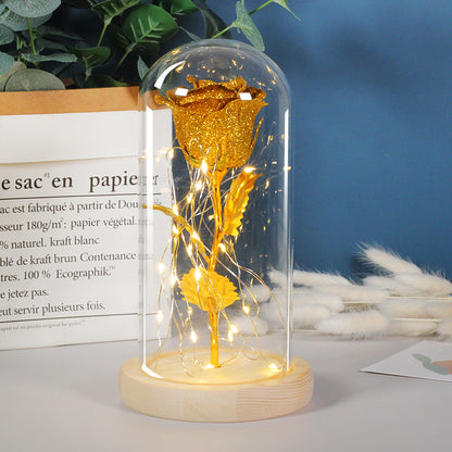 Valentines Day Gift For Girlfriend Eternal Rose Flowers LED Light In Glass Deals DealSniper.net Gold