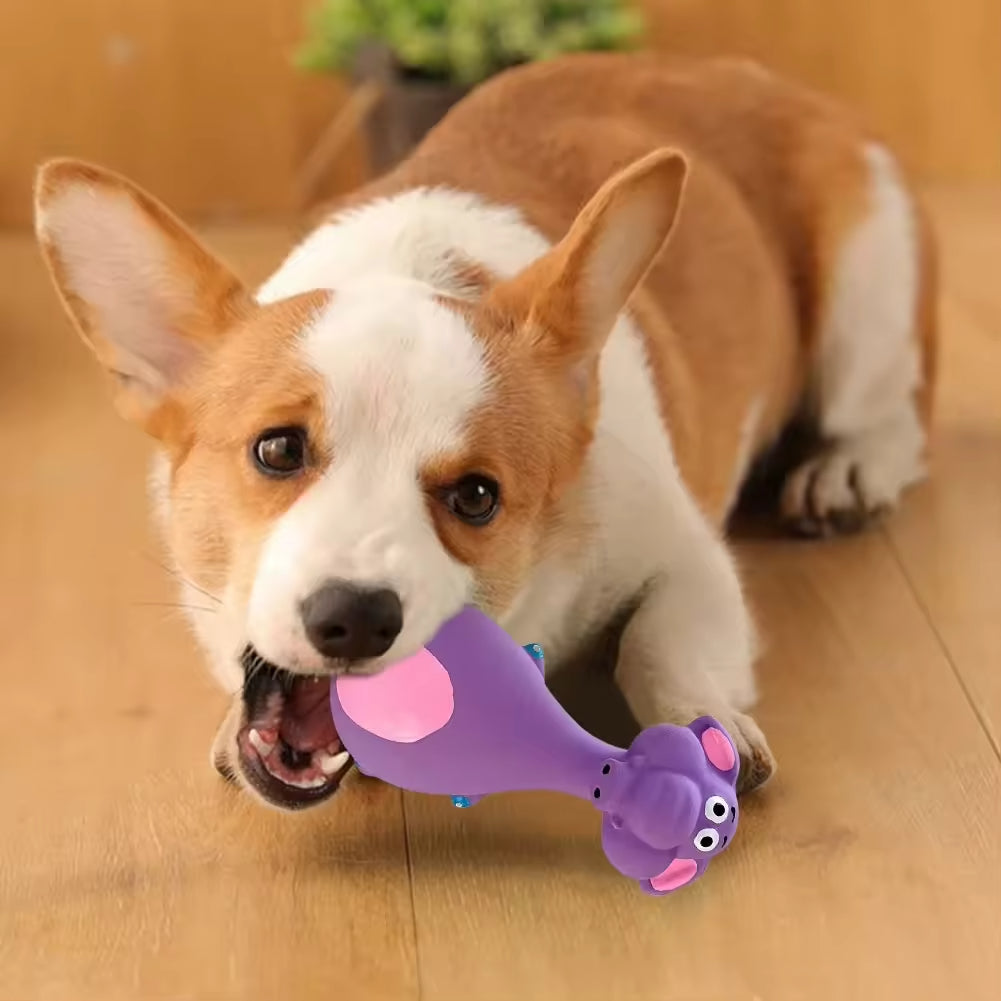 4pcs Cute Latex Dog Chew Toys With Sound Interactive Biting Toys Pets Gym From House