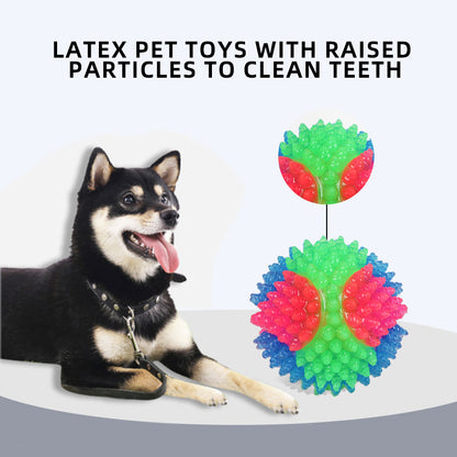 Small Dog Pet Training Interactive Luminous Elastic Ball Pets Gym From House