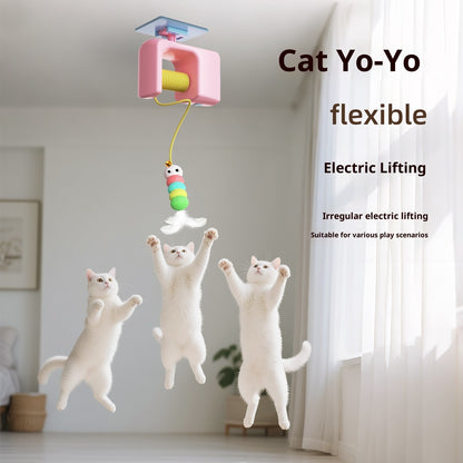 Caterpillar And Flying Bird Suitable For Self-playing Pet Chasing Toys Ai Recorder Gym From House