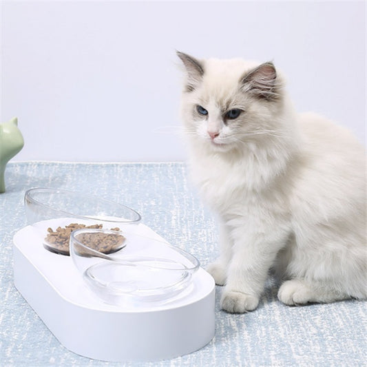 Adjustable cat bowl Pets Gym From House