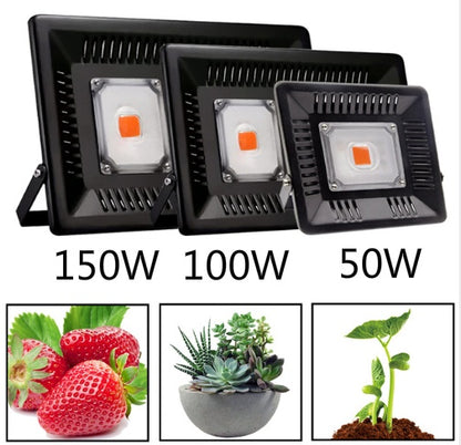 LED plant lamp full spectrum flood light led Home Decor dealsniper-net