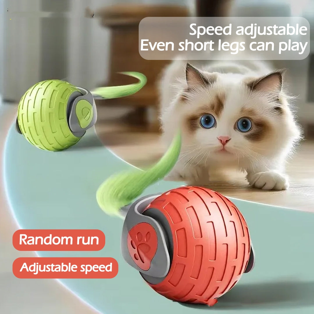 New Interactive Cat Toys Ball Auto Electric Rolling Ball Toys Pets Gym From House