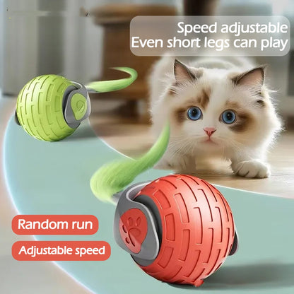 New Interactive Cat Toys Ball Auto Electric Rolling Ball Toys Pets Gym From House