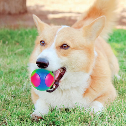 Small Dog Pet Training Interactive Luminous Elastic Ball Pets Gym From House