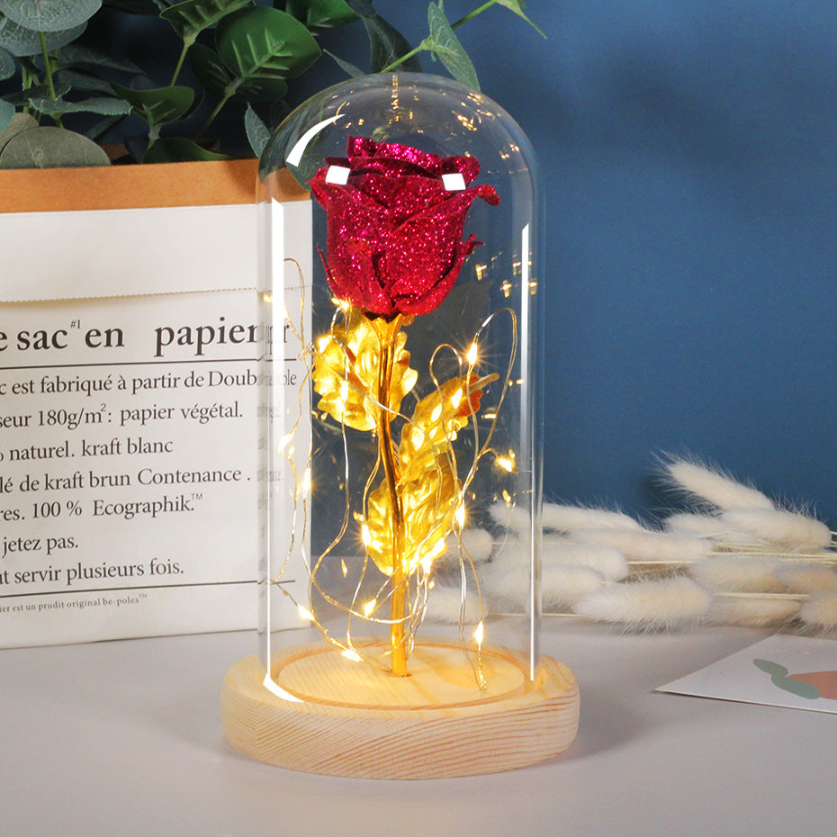 Valentines Day Gift For Girlfriend Eternal Rose Flowers LED Light In Glass Deals DealSniper.net