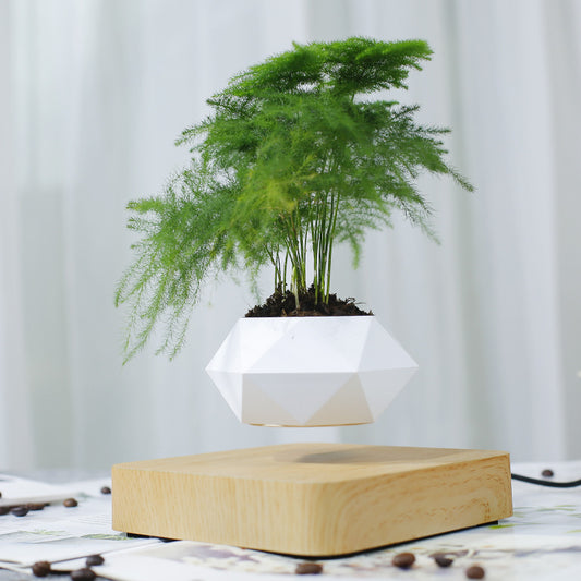 Magnetic Levitation Polygonal Wood Grain Potted Plant Home Decor dealsniper-net