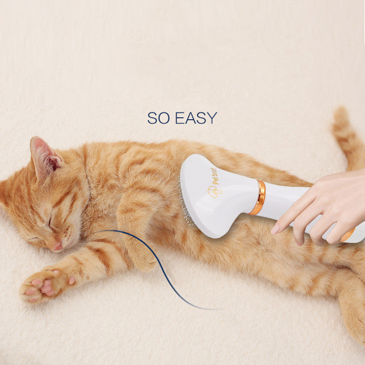Two-in-one Pet Hot Air Comb Dog Cat Hair Comb Pets Gym From House