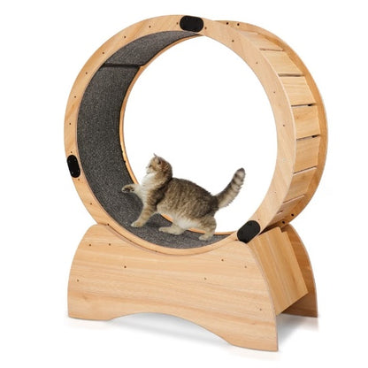 Cat Treadmill With Carpeted Runway Kitty Cat Sport Toy