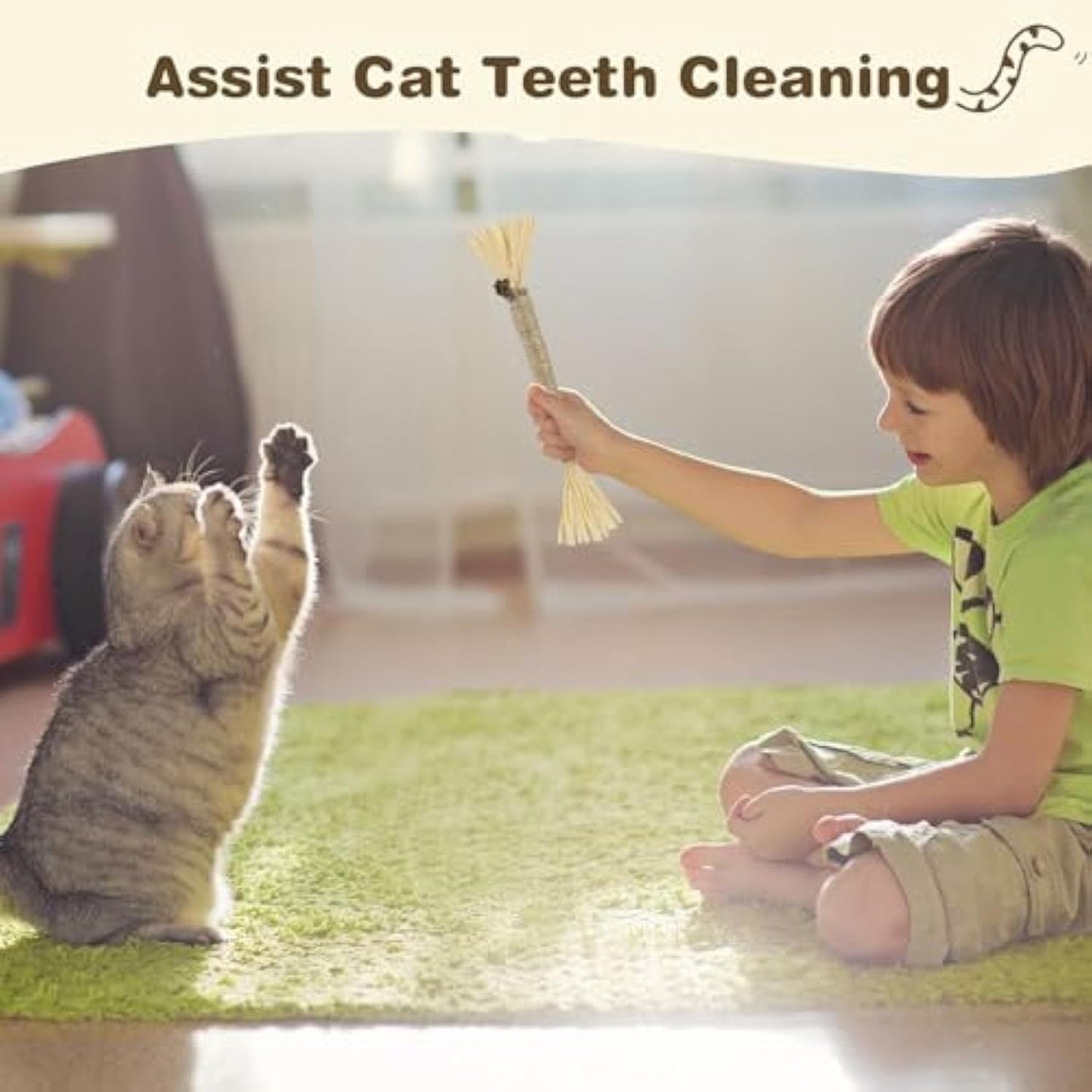 3 Pack Silvervine Sticks For Cats Cat Chew Toy For Dental Care Pets Gym From House