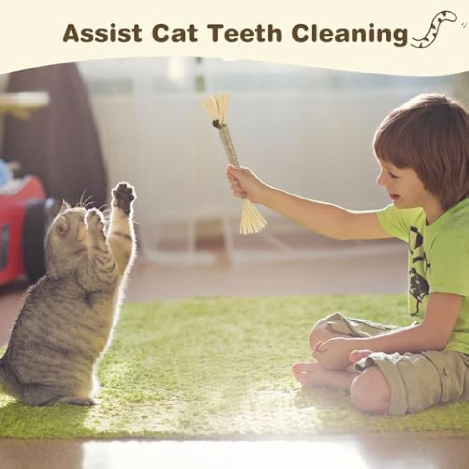 3 Pack Silvervine Sticks For Cats Cat Chew Toy For Dental Care Pets Gym From House