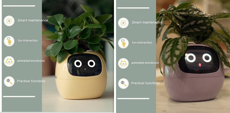 Smart Planter Endless Fun Over 49 Rich Expressions