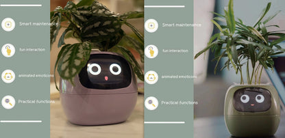 Smart Planter Endless Fun Over 49 Rich Expressions