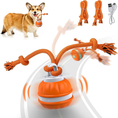 Pet Ball For Dogs Interactive Toys Motion Activate Rolling Ball Pets Gym From House