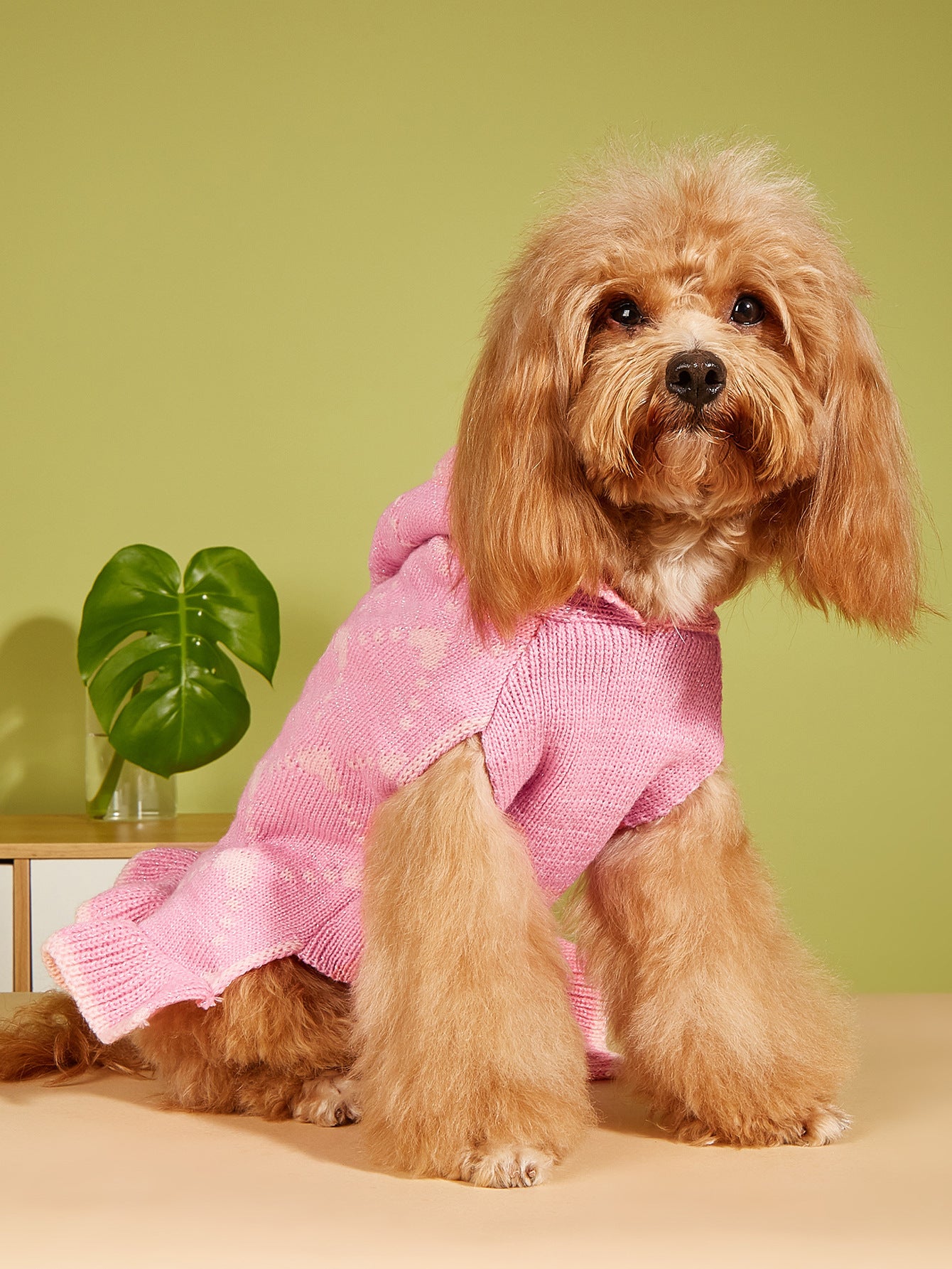 Small Dog Sweater Hoodies Dress Pets dealsniper-net