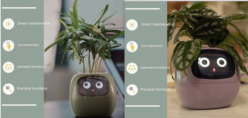 Smart Planter Endless Fun Over 49 Rich Expressions