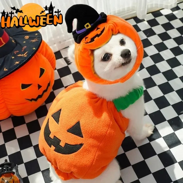 Halloween Pumpkin Vest For Dogs Cats Festive Pet Costume Harness Pets null