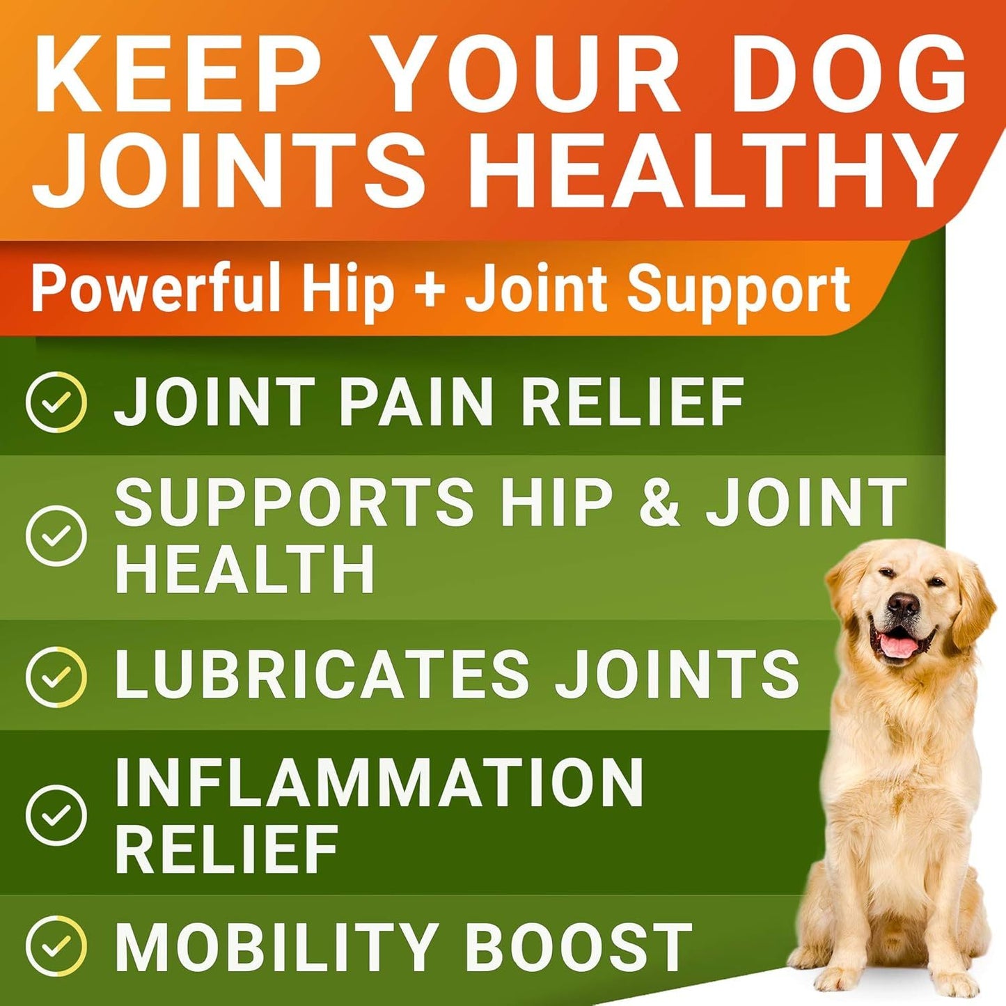 Youmile Hip & Joint Health Supplement For Dogs 120 Chews Pets Gym From House