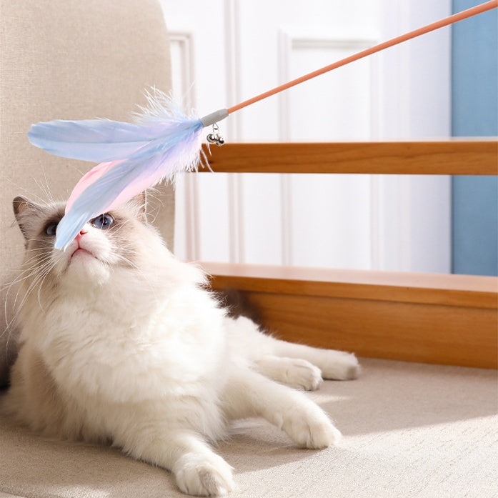New Pet Cat Toy Products Feather Teasing Stick Pets Gym From House
