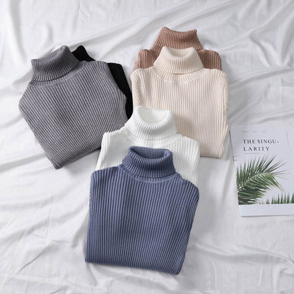 Turtleneck Sweater Women Knit Bottoming Shirt Winter Keep Warm Women dealsniper-net