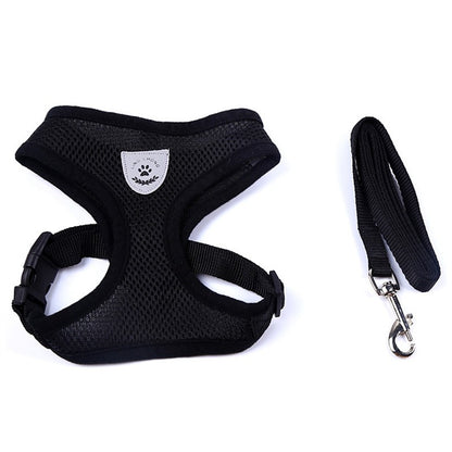 Pet Car Seat Belt Pet Leash Pets Gym From House Black L