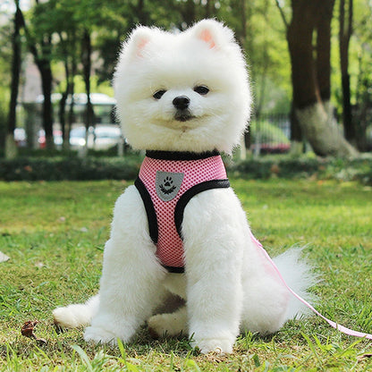 Pet Car Seat Belt Pet Leash Pets Gym From House