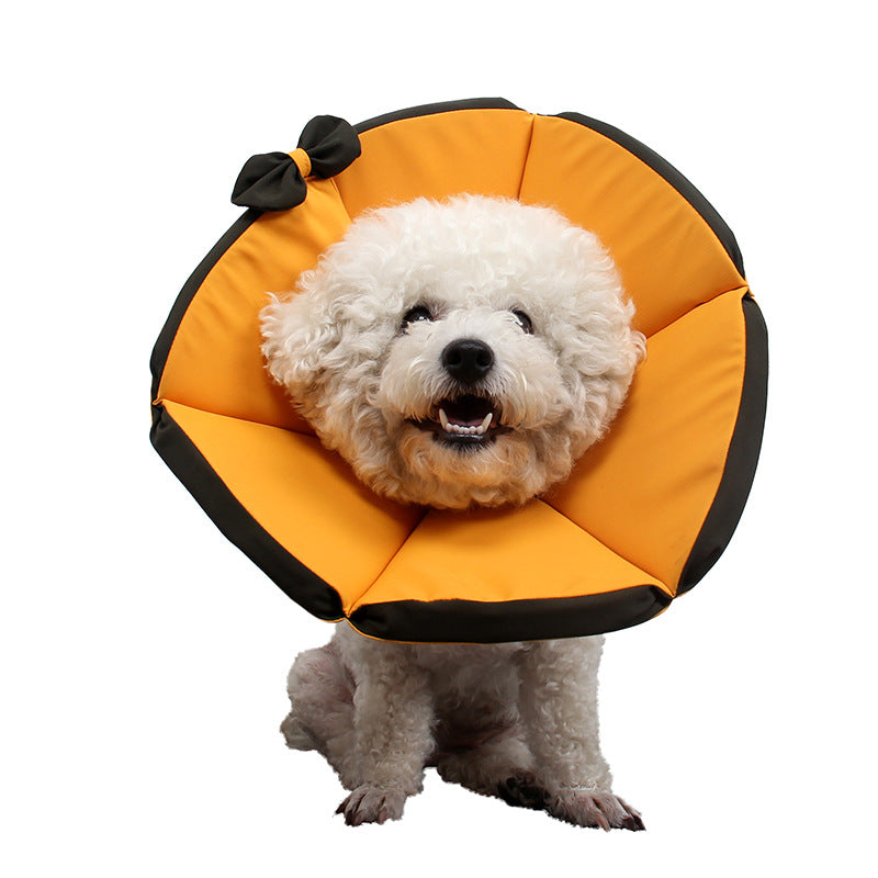 Pet Supplies Dog Sick Care Collar Pets Gym From House
