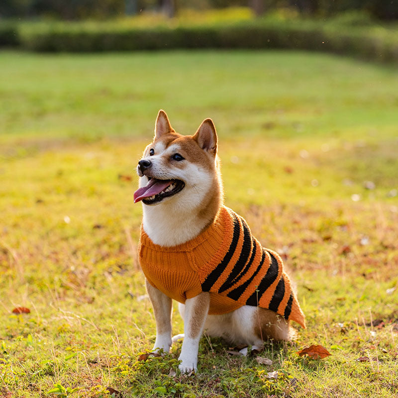 Halloween Dog Sweaters Pet Costume Teddy Warm Leisure Sweater Pets dealsniper-net