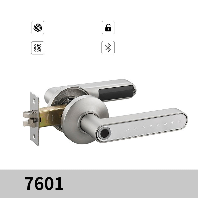 Indoor Fingerprint Spherical Lock Home Wooden Door Anti-theft Lock House dealsniper-net Grey Single tongue USB