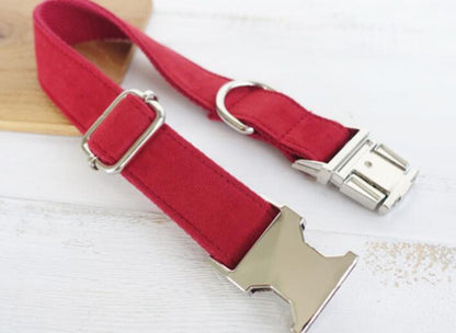 Pet Traction Collar Dog Collar Pets Gym From House