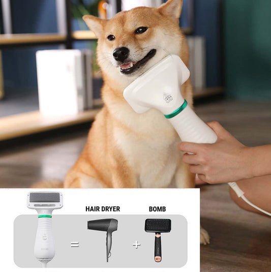 2 in 1 Pet Drying Brush Pet Hair Dryer Comb Pets Gym From House
