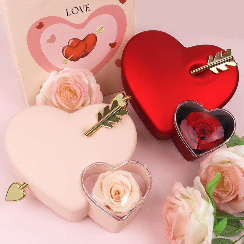 Plastic Double Love Heart-shaped Jewelry Box Holidays DealSniper.net