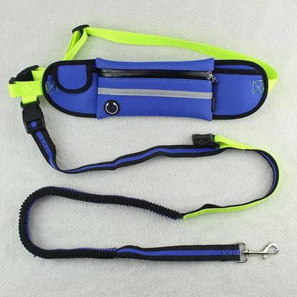 Pet Waist Bag Sports Traction Rope Reflective Waterproof Running Traction Rope Pets dealsniper-net Blue