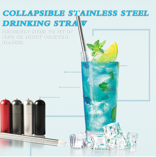 Portable Collapsible Reusable Stainless Steel Straw Eco-Friendly Kitchen DealSniper.net