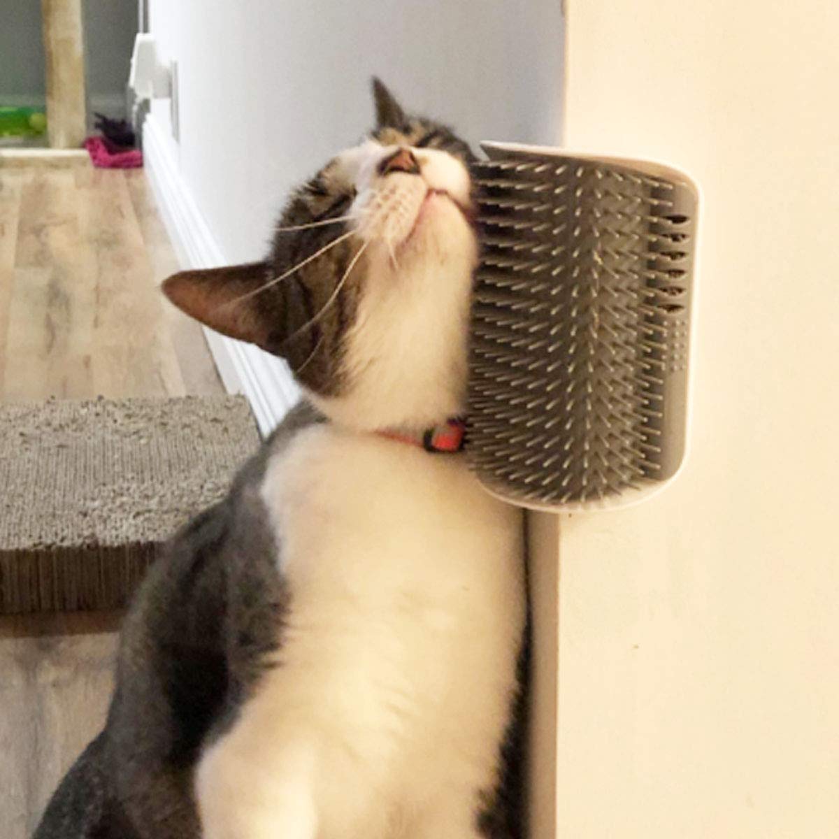 Cat Self Groomer Arch Self Cleaning Slicker Brush Upgraded Cat Brushes Pets Gym From House